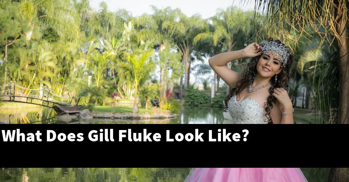 What Does Gill Fluke Look Like?