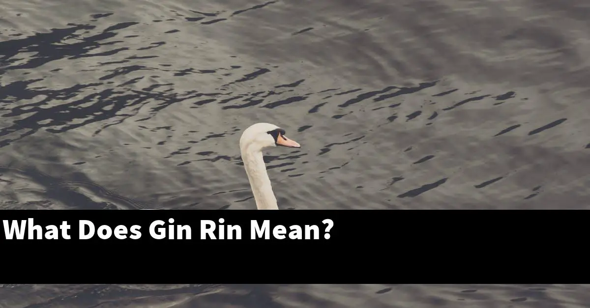 What Does Gin Rin Mean?