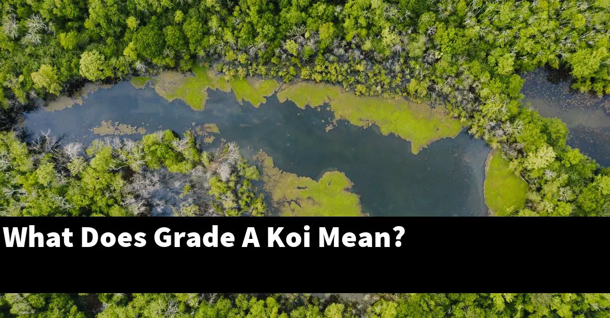 What Does Grade A Koi Mean?
