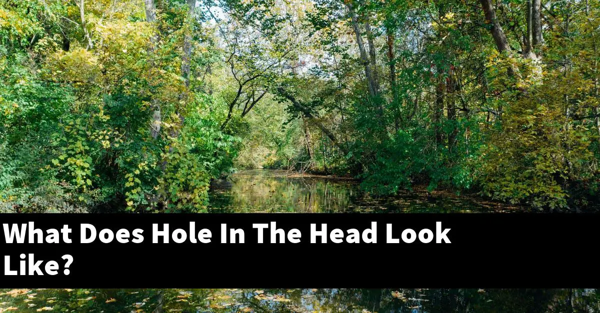 What Does Hole In The Head Look Like?