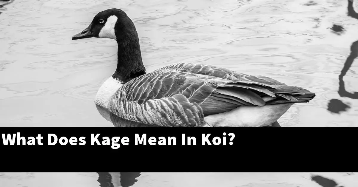 What Does Kage Mean In Koi?