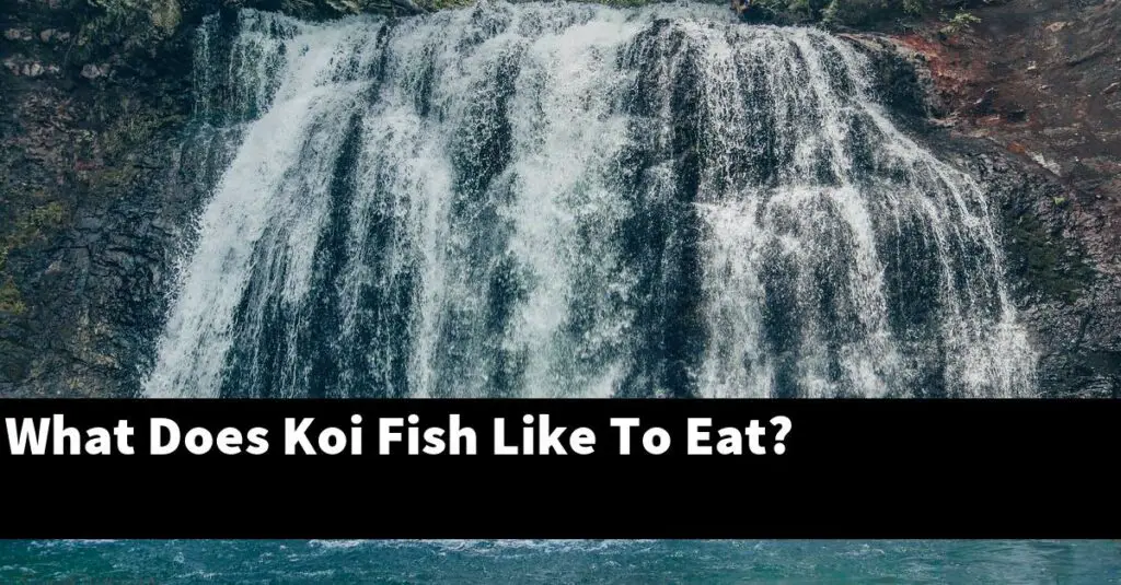What Does Koi Fish Like To Eat? [2024 Guide] Gold Koi Fish