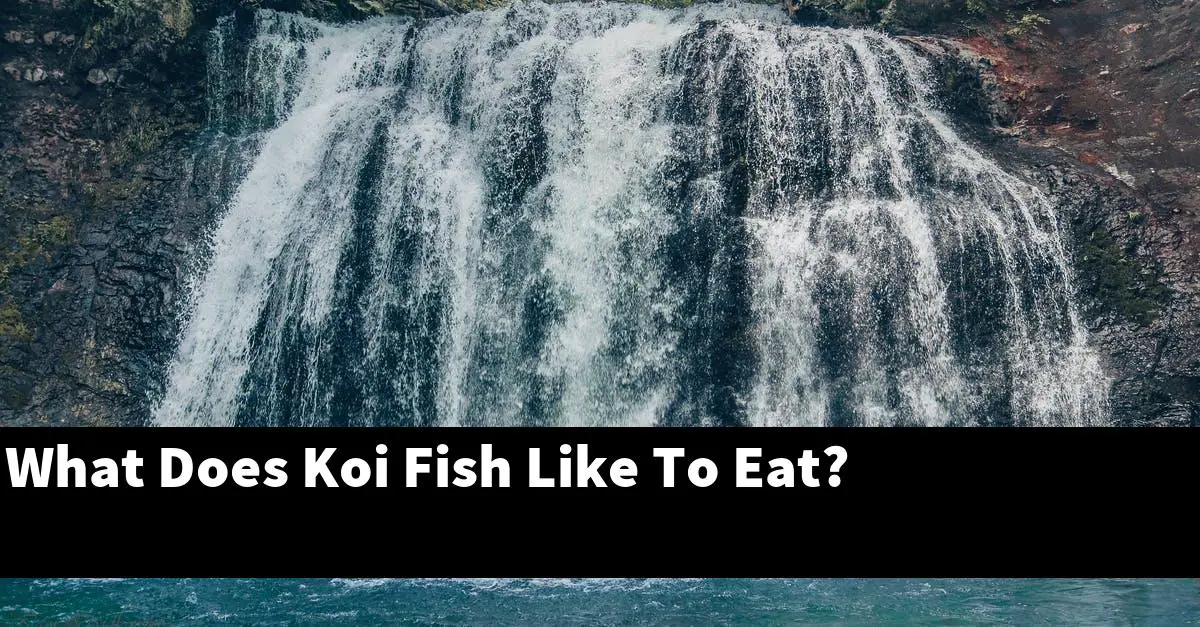 What Does Koi Fish Like To Eat?