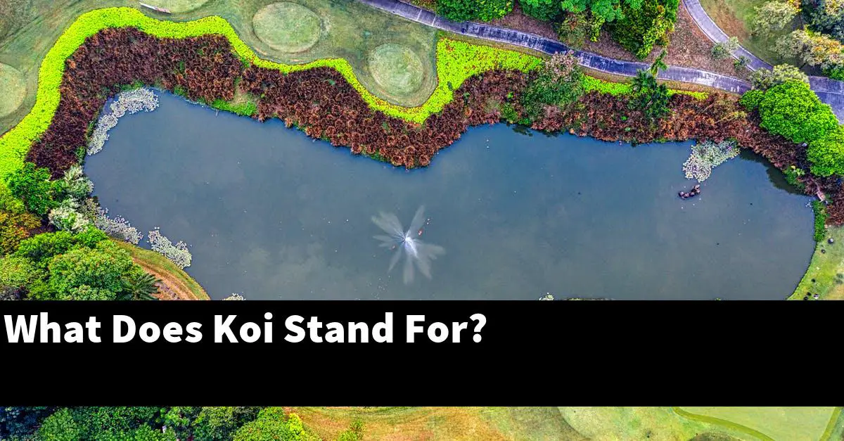 What Does Koi Stand For?