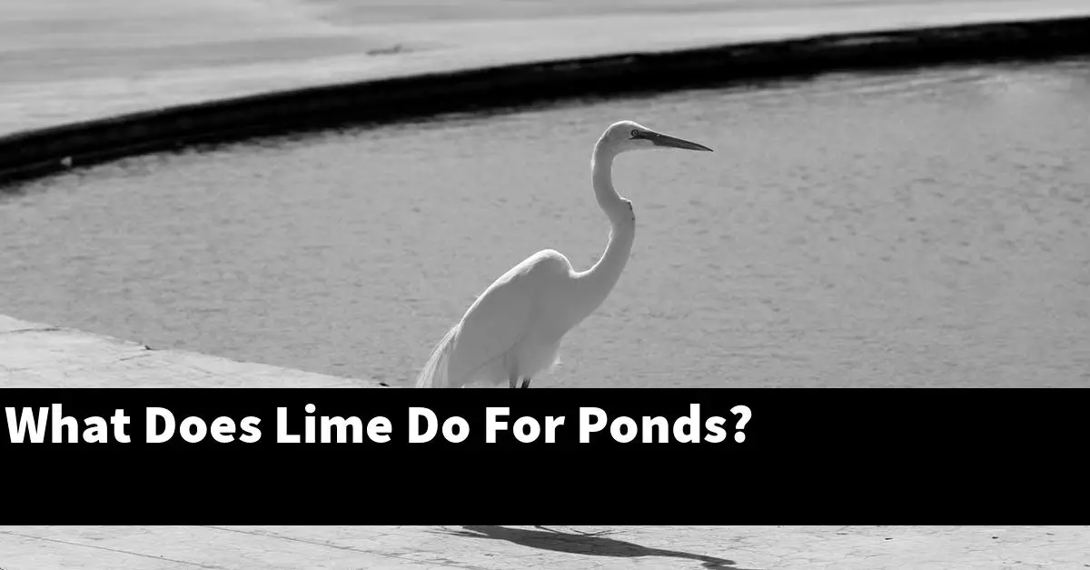 What Does Lime Do For Ponds?