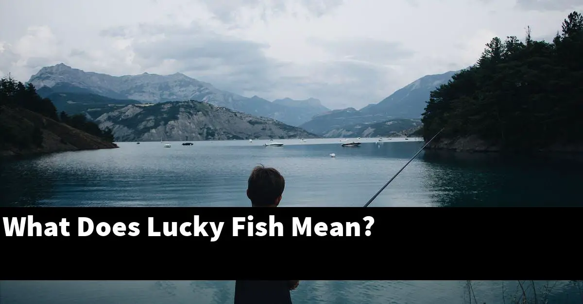 What Does Lucky Fish Mean?
