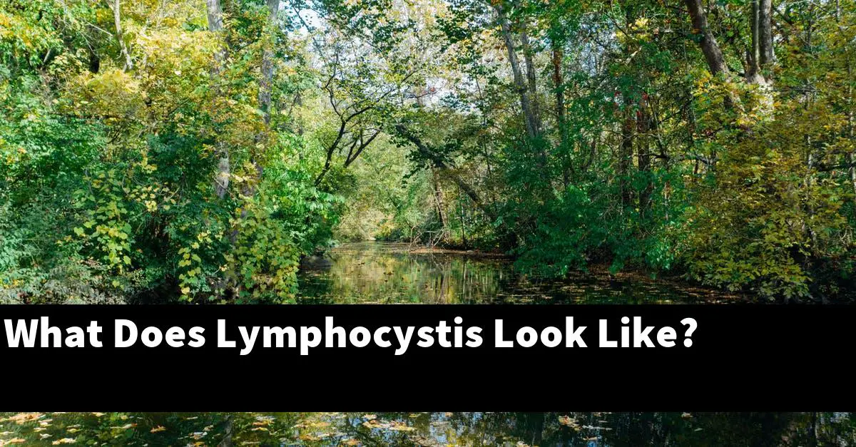 What Does Lymphocystis Look Like?