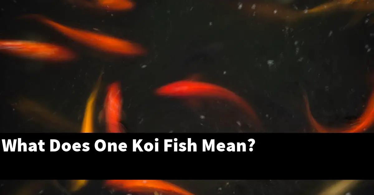 What Does One Koi Fish Mean?