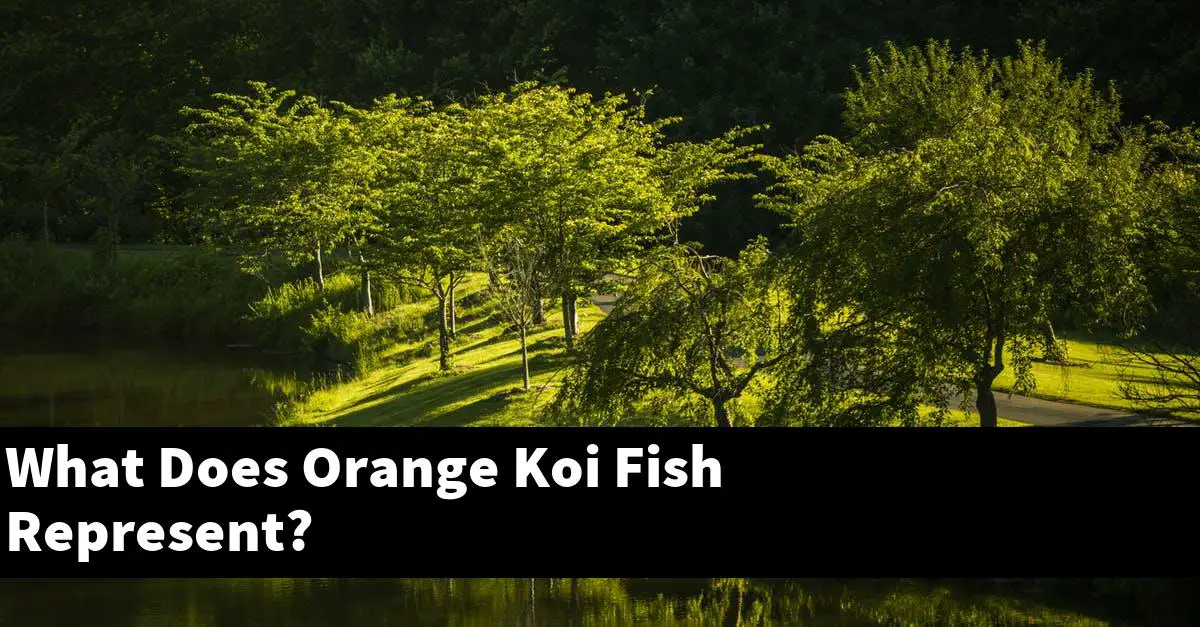 What Does Orange Koi Fish Represent?