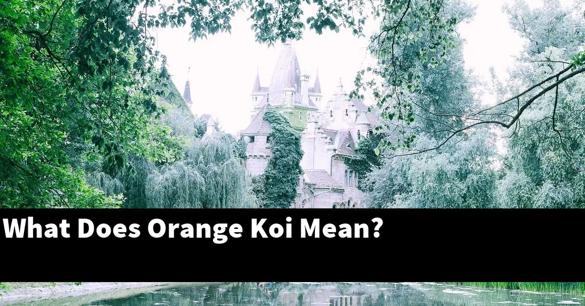 What Does Orange Koi Mean?