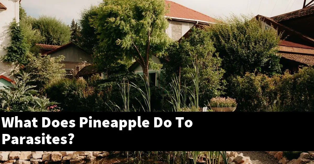 What Does Pineapple Do To Parasites?