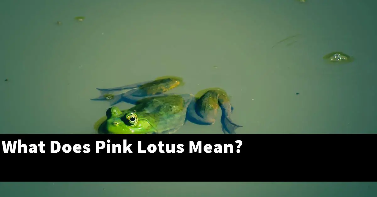 What Does Pink Lotus Mean?
