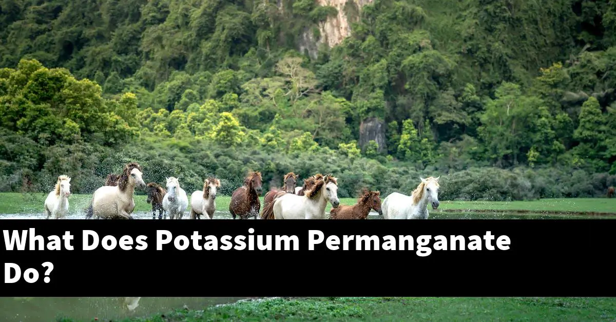 What Does Potassium Permanganate Do?