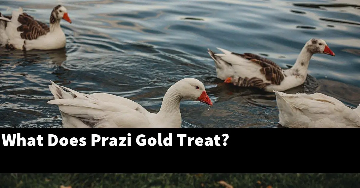 What Does Prazi Gold Treat?