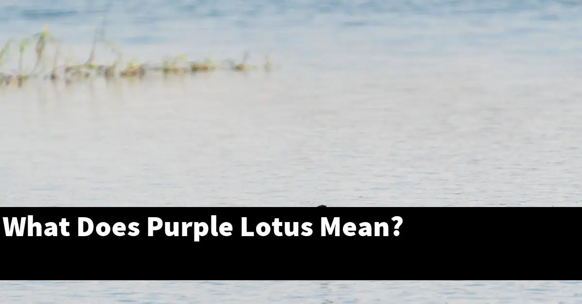 What Does Purple Lotus Mean?