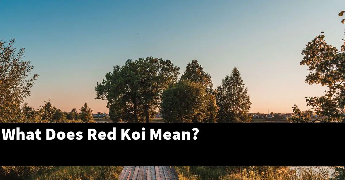 What Does Red Koi Mean?