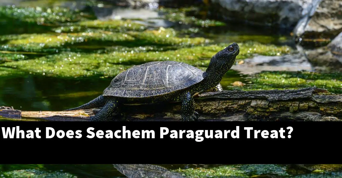What Does Seachem Paraguard Treat?