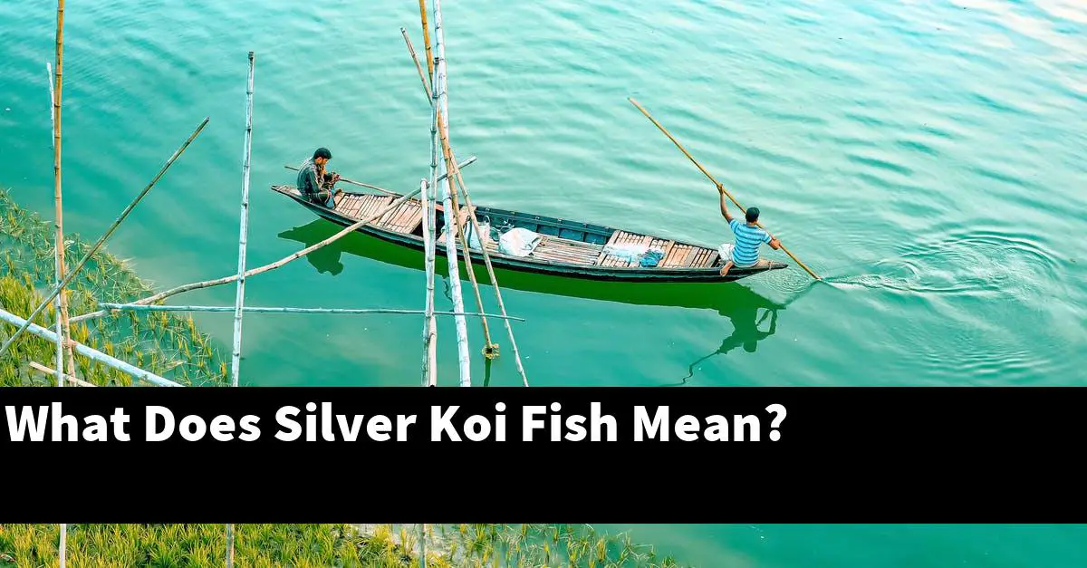 What Does Silver Koi Fish Mean?