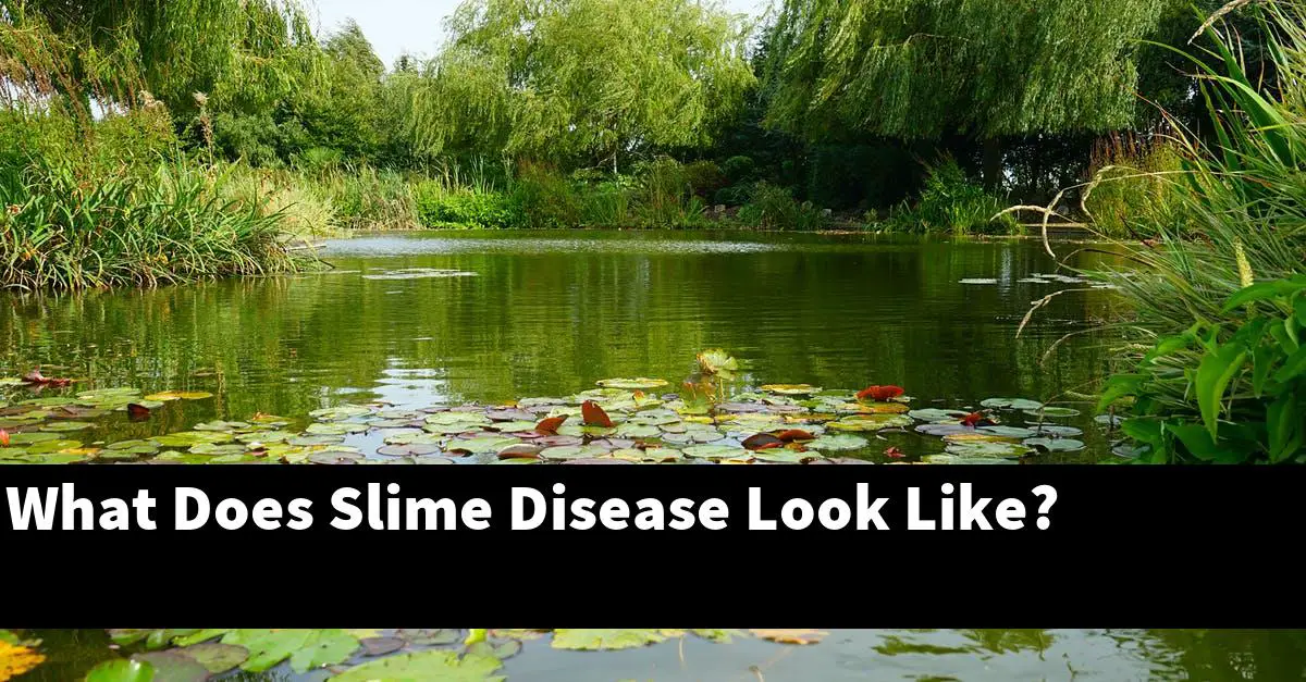 What Does Slime Disease Look Like?