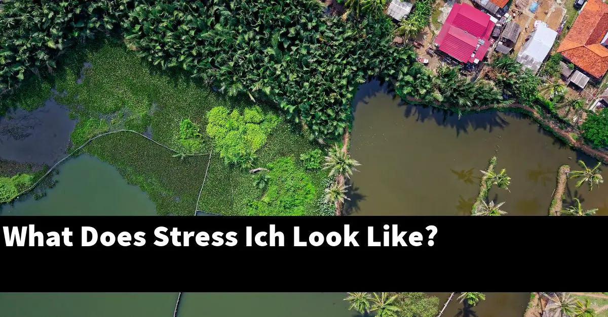 What Does Stress Ich Look Like?