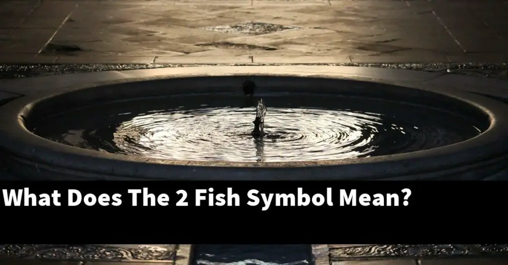 what-does-the-2-fish-symbol-mean-2024-guide-gold-koi-fish