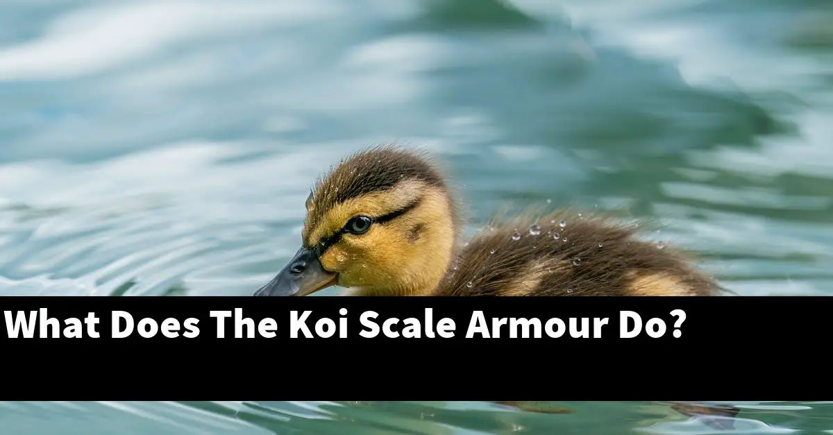 What Does The Koi Scale Armour Do?
