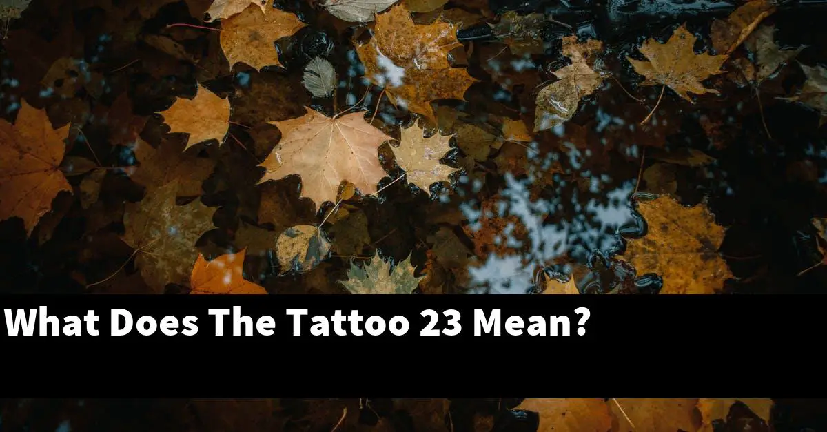 What Does The Tattoo 23 Mean?