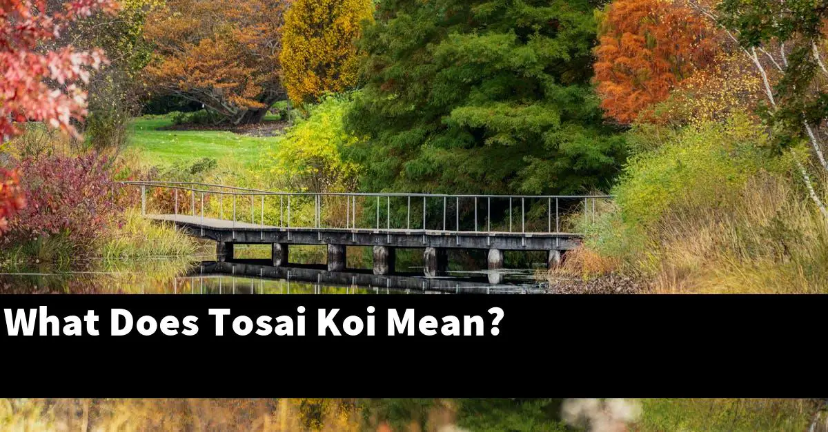 What Does Tosai Koi Mean?