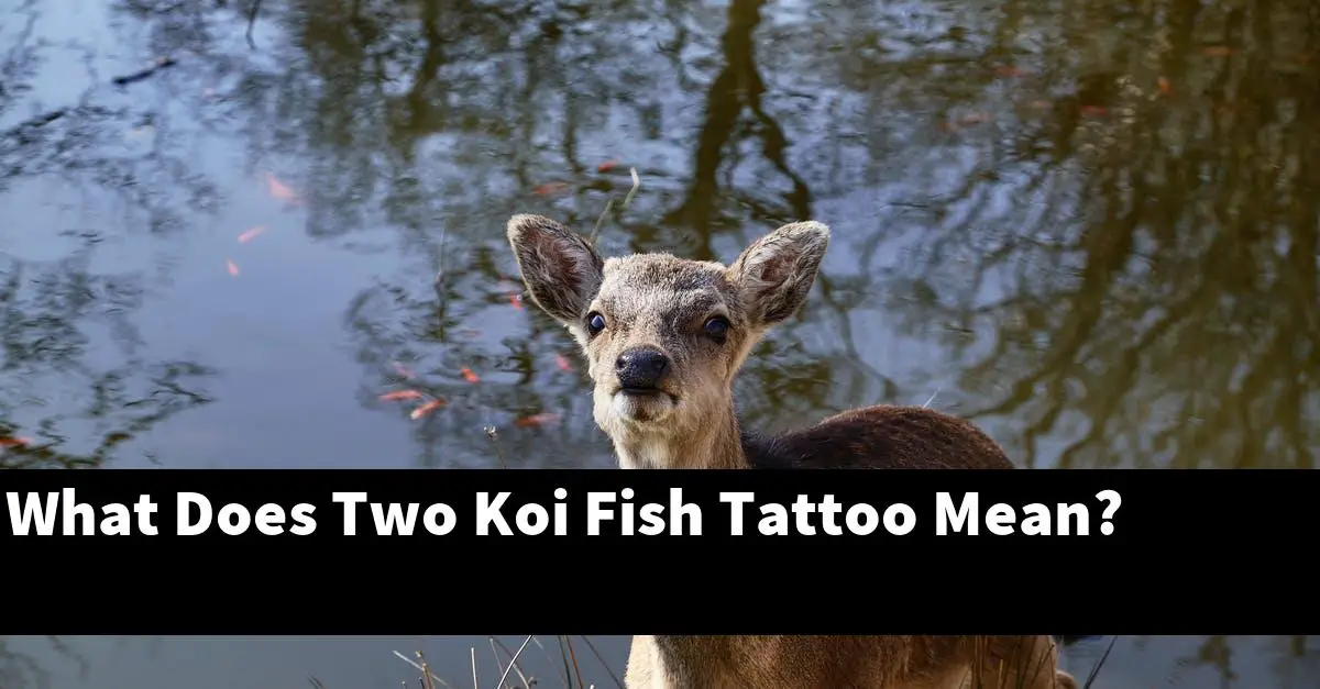 What Does Two Koi Fish Tattoo Mean?