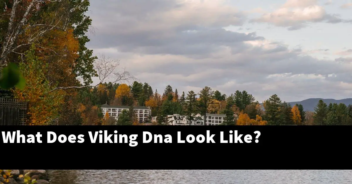 What Does Viking Dna Look Like?