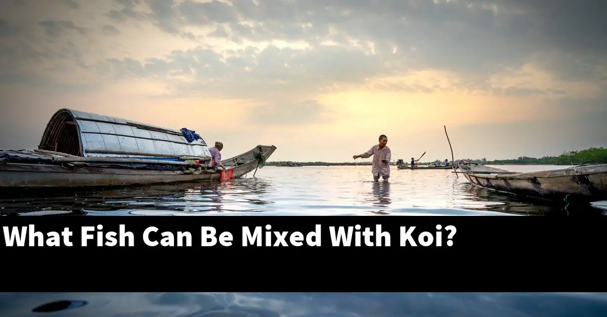 What Fish Can Be Mixed With Koi?