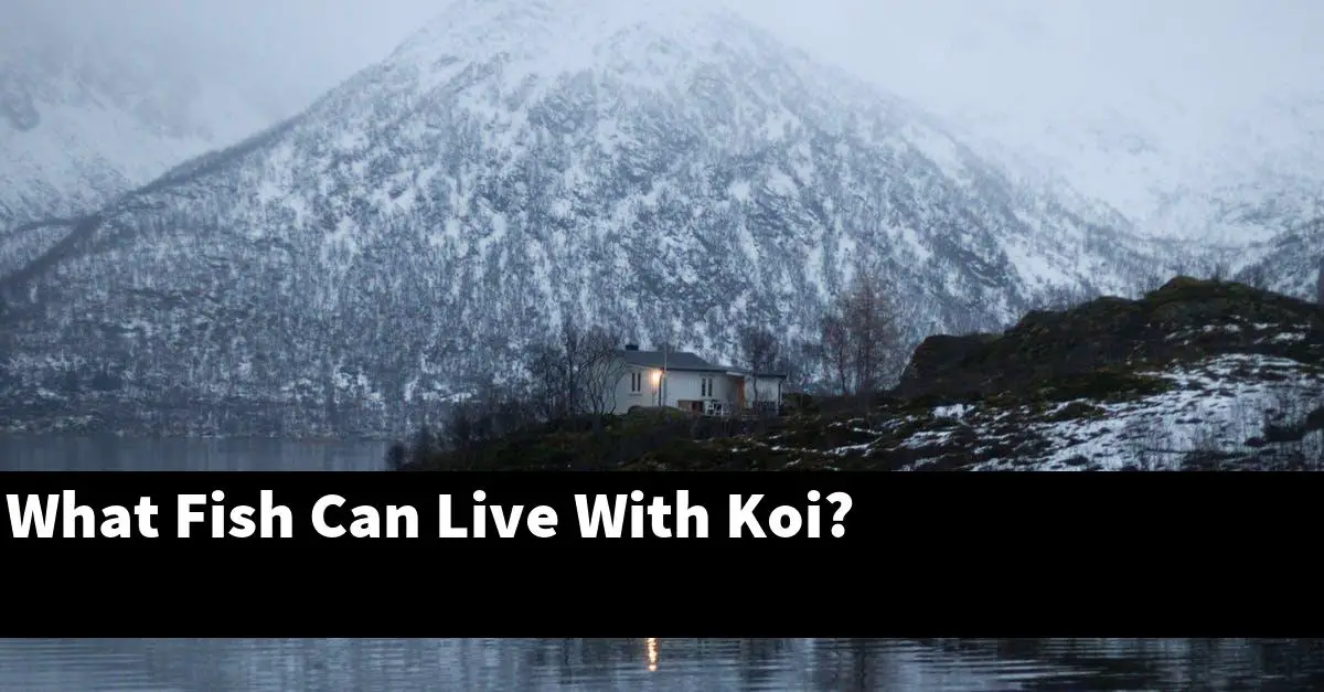 What Fish Can Live With Koi?