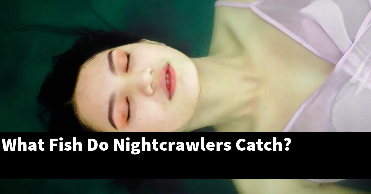 What Fish Do Nightcrawlers Catch?