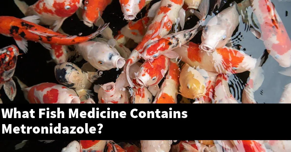 What Fish Medicine Contains Metronidazole?