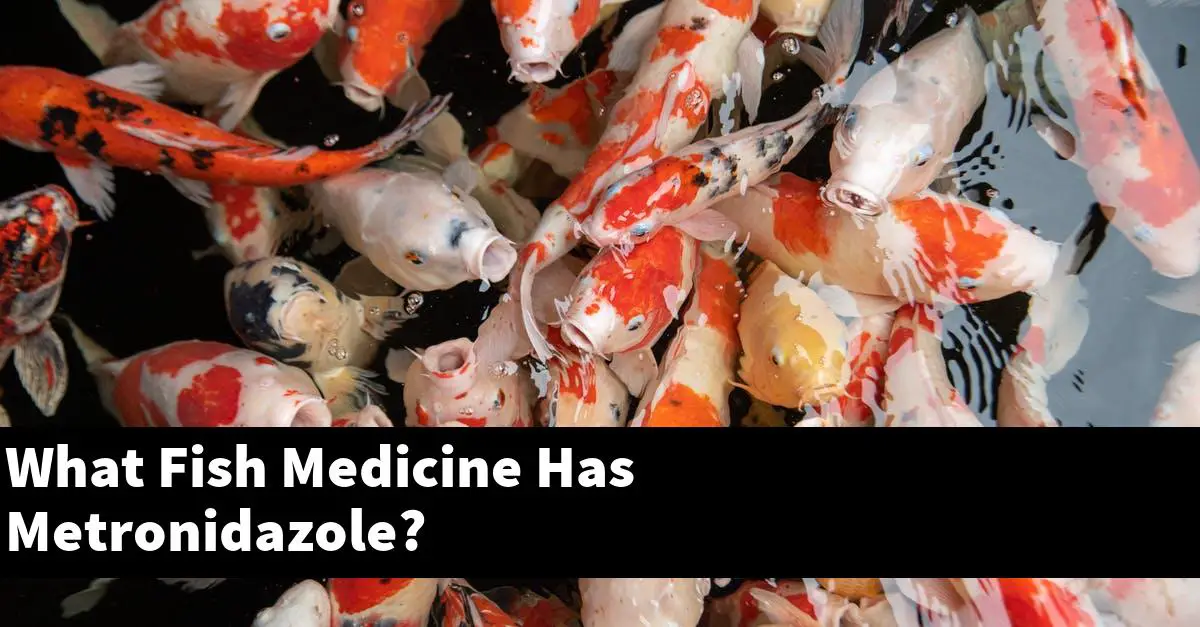 What Fish Medicine Has Metronidazole?