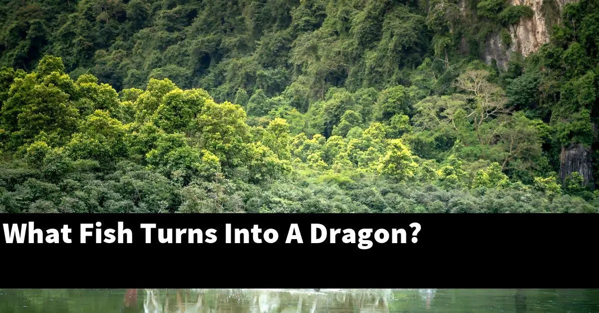 What Fish Turns Into A Dragon?