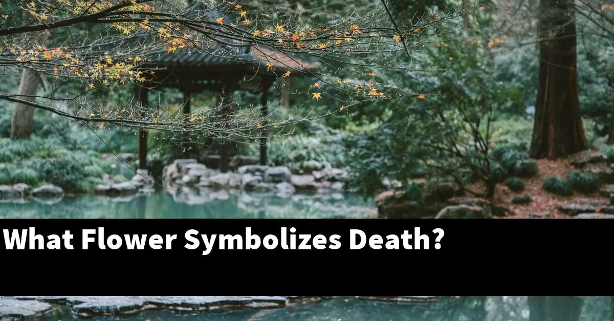 What Flower Symbolizes Death?