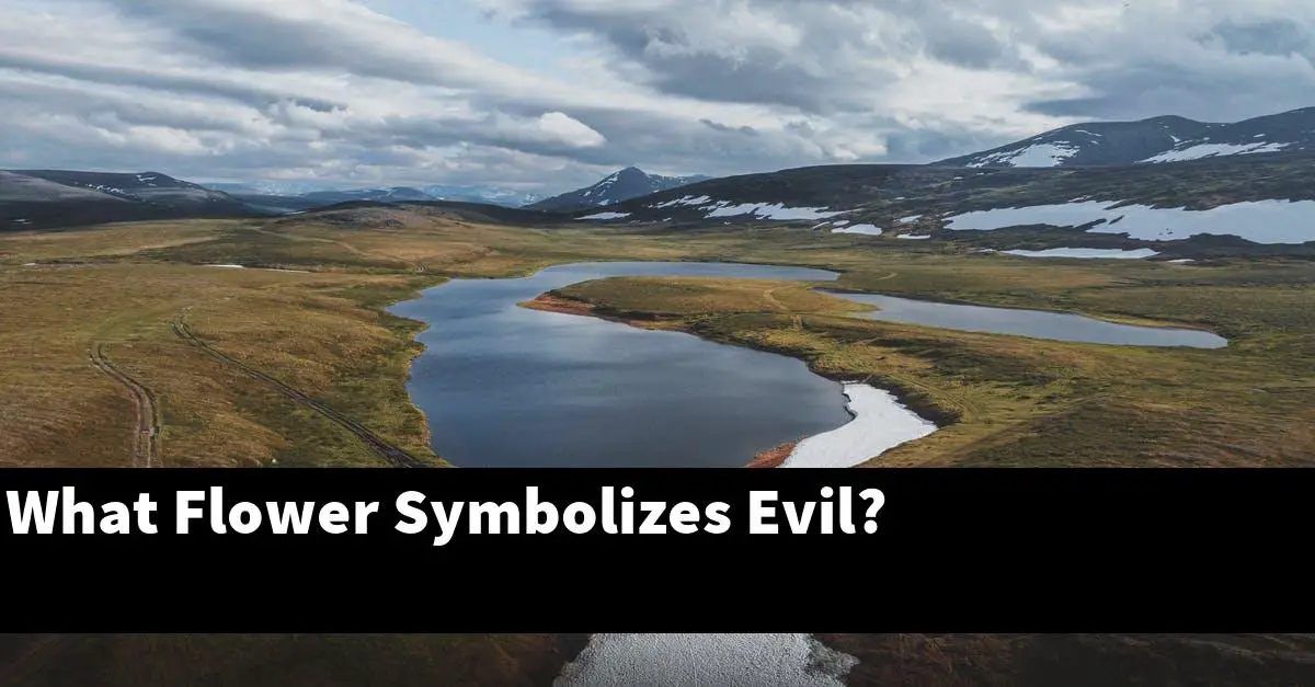 What Flower Symbolizes Evil?