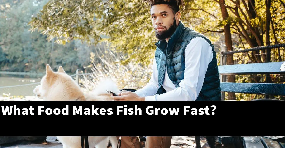 What Food Makes Fish Grow Fast?