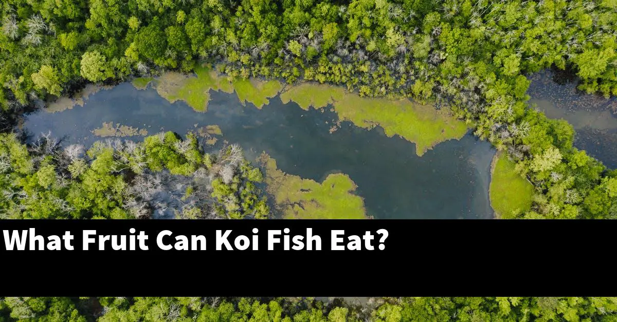 What Fruit Can Koi Fish Eat?