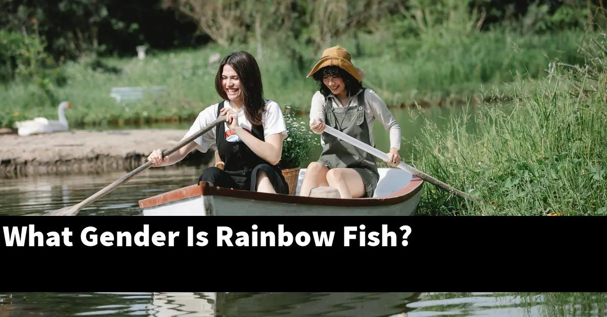 What Gender Is Rainbow Fish?