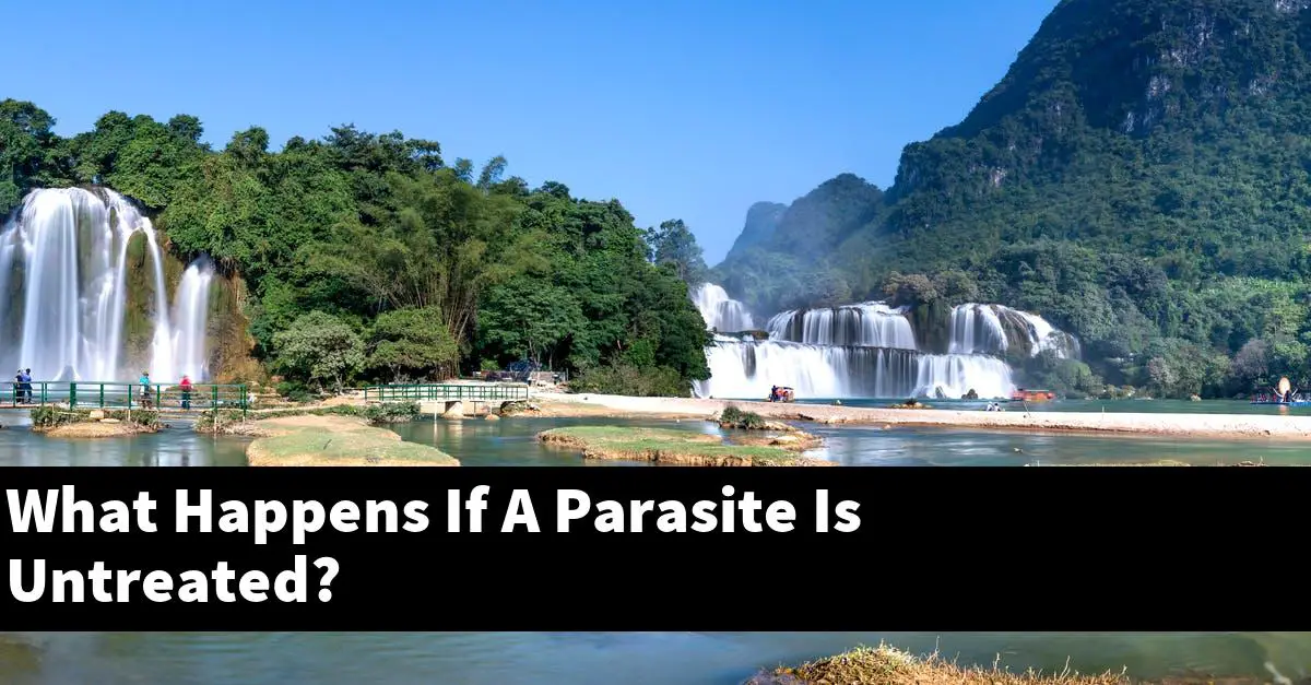 What Happens If A Parasite Is Untreated?