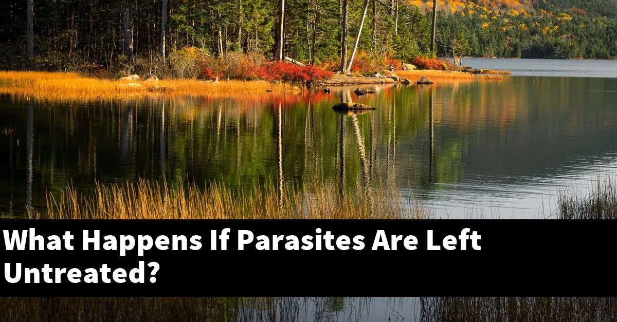 What Happens If Parasites Are Left Untreated?