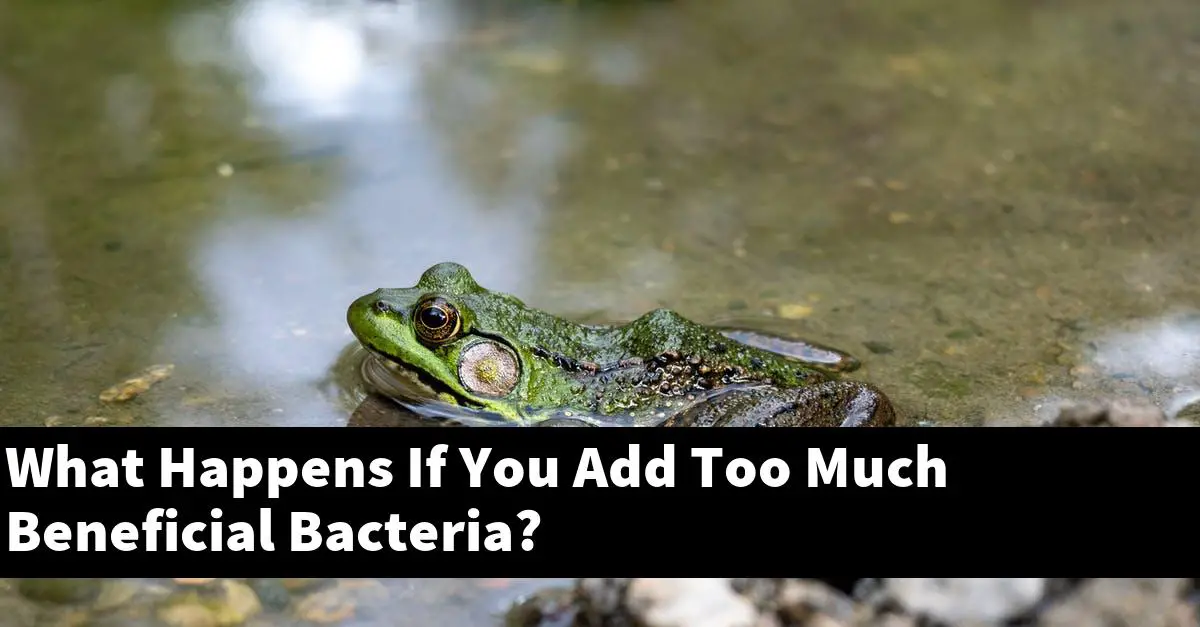 What Happens If You Add Too Much Beneficial Bacteria?