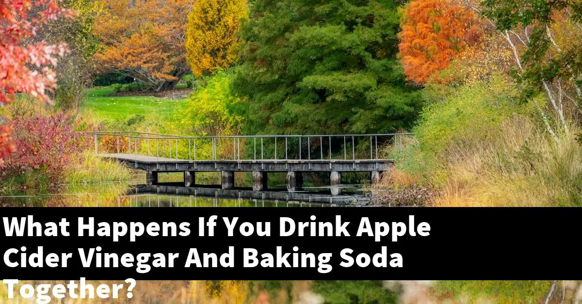 What Happens If You Drink Apple Cider Vinegar And Baking Soda Together?