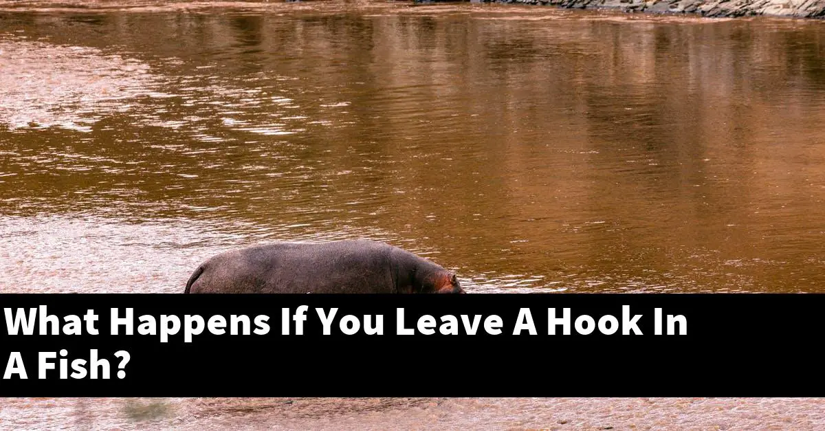 What Happens If You Leave A Hook In A Fish?