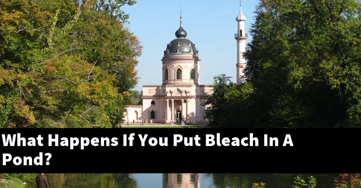 What Happens If You Put Bleach In A Pond?
