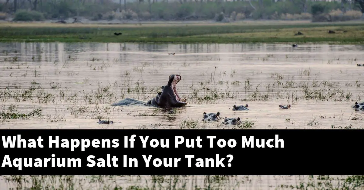 What Happens If You Put Too Much Aquarium Salt In Your Tank?