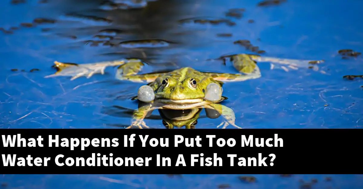 What Happens If You Put Too Much Water Conditioner In A Fish Tank?