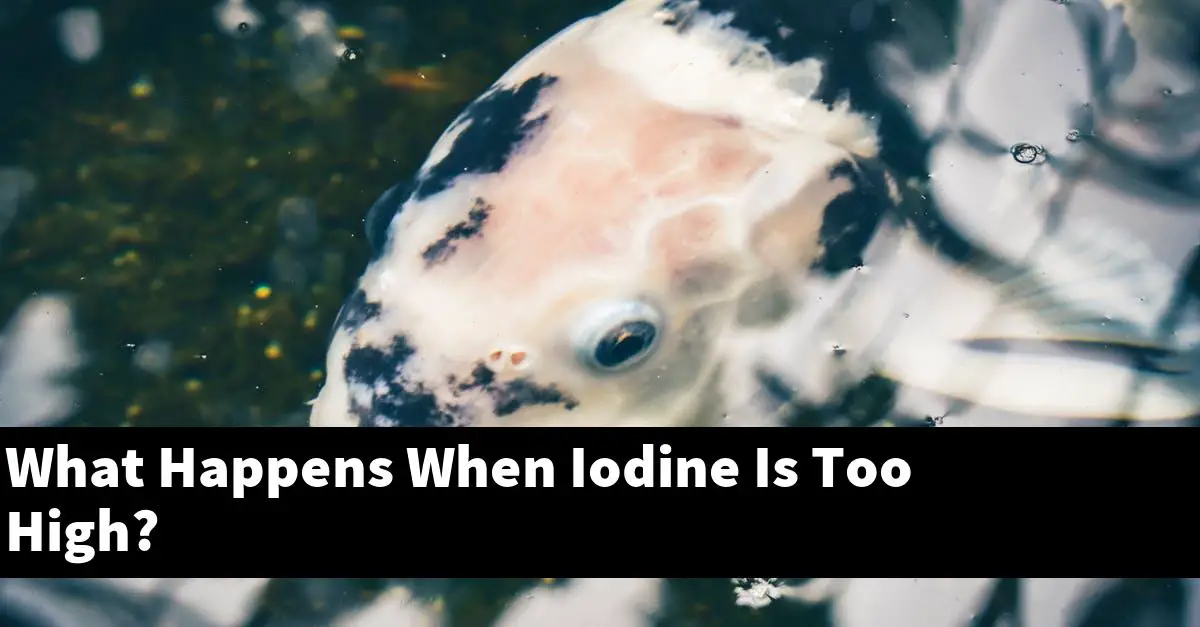 What Happens When Iodine Is Too High?